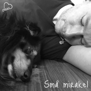 Små%20mirakel%20300